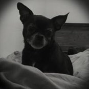 Jamie Ray's photo