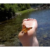 Amy Glover's photo