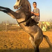 Fady Ali's photo