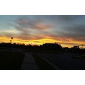 Lee Wallace's photo