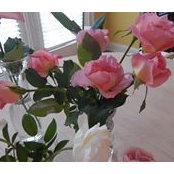 Pat Brown's photo