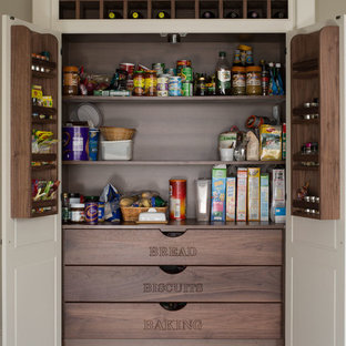 Traditional kitchen pantry appliance - Inspiration for a timeless dark wood floor kitchen pantry remodel in Dublin with white cabinets