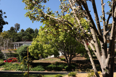 Photo of a landscaping in San Francisco.