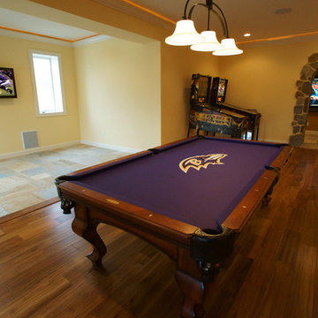 Pool Table and Pinball Fun