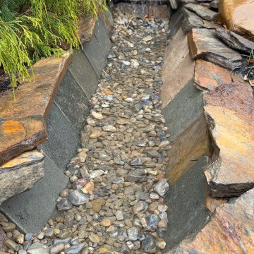 Water Management Habitat Rain Garden