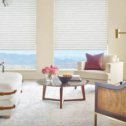 Living Room Ideas - Window Treatments