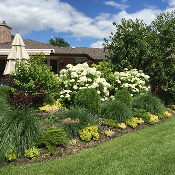 Gardening Tip @Hydrangeas