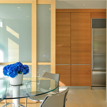 Panel Door