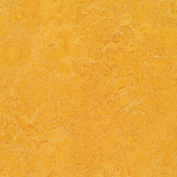 Forbo - Forbo Marmoleum Real, Dandelion - 3225 - Flooring
