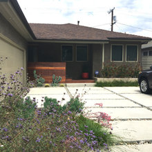 Drought tolerant landscapes