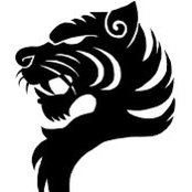 warlike tiger's photo