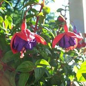 Jean Scott's photo
