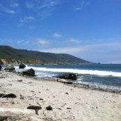 Andrea Beard's photo