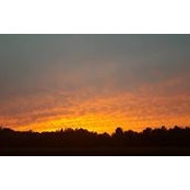Deanna Bennett's photo