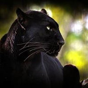 Maja Banjac's photo