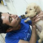 MoStafa Hussein's photo