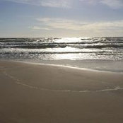Anton Potikha's photo