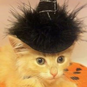 Barbara Gilbreath's photo