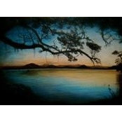 Georgina Kingi's photo