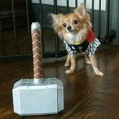 Cassi Baskette's photo