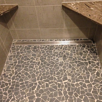 Tiled Master bathroom and walk-in Shower in Bloomfield