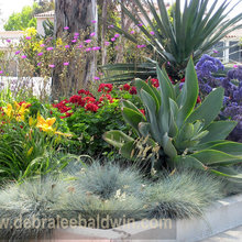 LG Garden