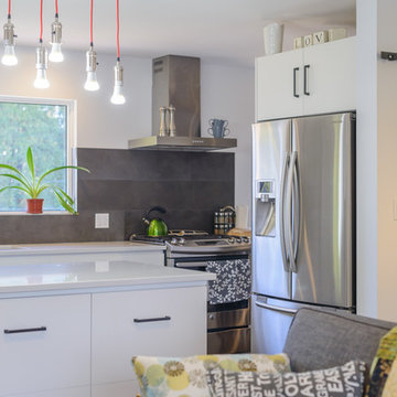 Hamilton, ON - Modern Renovation