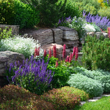 Design - Build Mountain Ranch Landscape in Summit County, CO