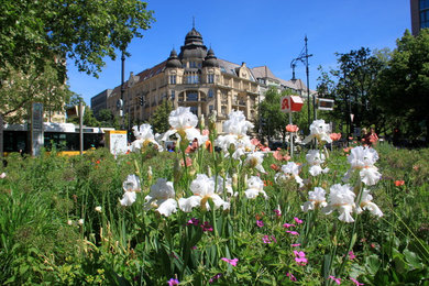 Moderner Garten in Berlin