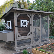 Chicken Coops