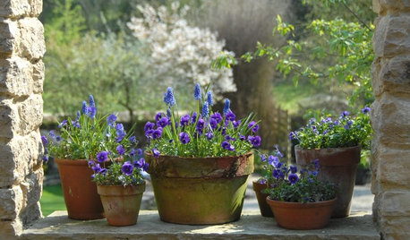 25 kreative ideer med planter i potter og kasser