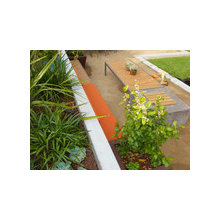 benya's garden