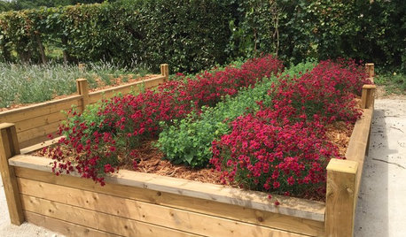 DIY : Réalisez vous-même un jardin de curé