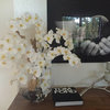 Moon vase with white Phalaenopsis orchids