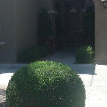 outside