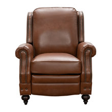 Den Furniture, Rug, Curtains