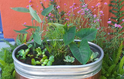 A Colorful DIY Water Garden for Your Patio