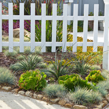 Front Garden Grace
