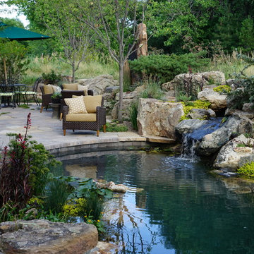 Niwot Hill Natural Swimming Pool