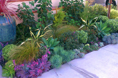 Inspiration for a mediterranean landscaping in Orange County.