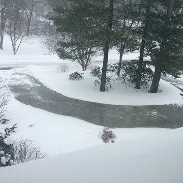 Heated Driveway