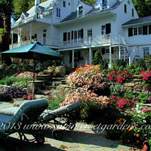 Landscape Ideas
