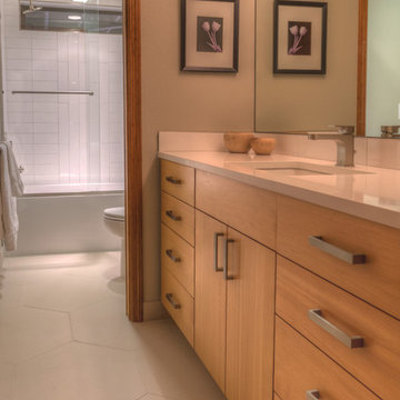 Guest bath in award winning home