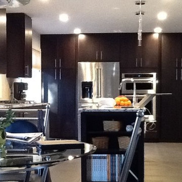 Contemporary Kitchen Remodel