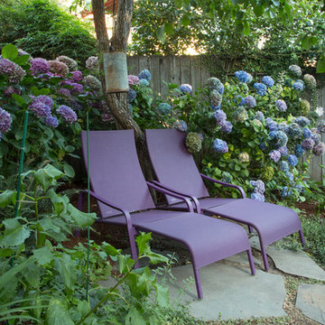 My Houzz: Colorful Garden Oasis in Marin County