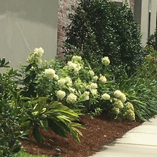 Garden Ideas