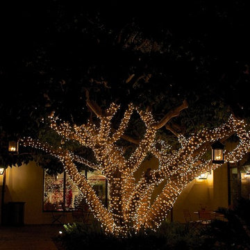 Holiday Lighting - 2014 Season
