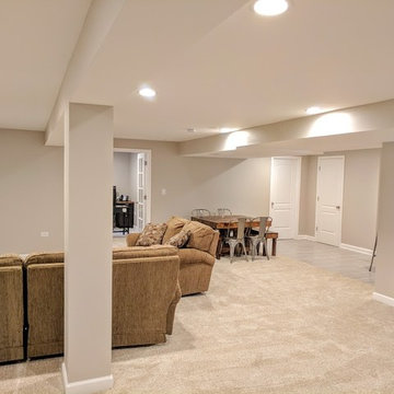 Transtitional Basement Build-Out