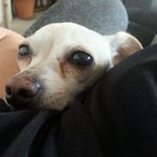 Sylvia Yvette's photo