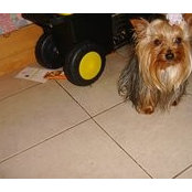 Mary Bruces foto